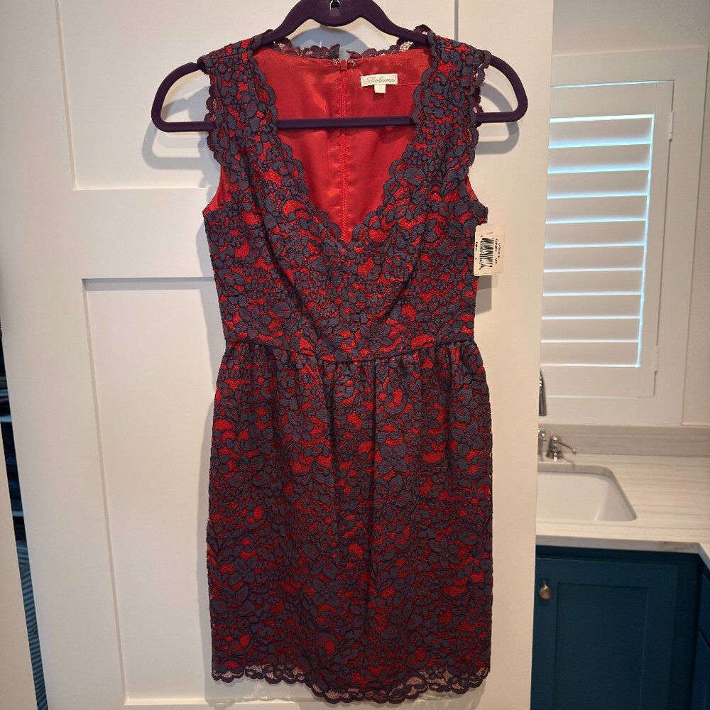 NEW Shoshanna Fun, Flirty, Dress: Red Blue Floral Lace Sleeveless Size 0
